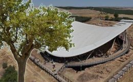 Göbeklitepe’den yükselen dut ağacının sırrı! 12 bin yıllık soruya cevap aranıyor