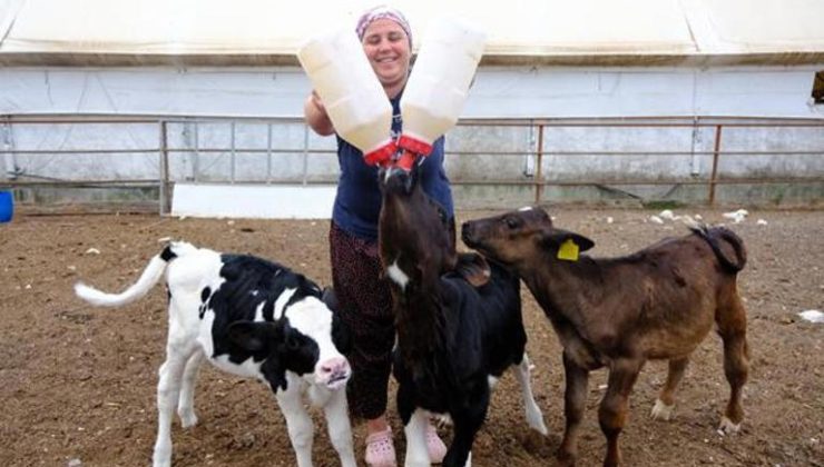 Hayvan bakıcısı olarak köye geldi ‘hanımağa’ oldu: Yadırgayan herkes kabullendi