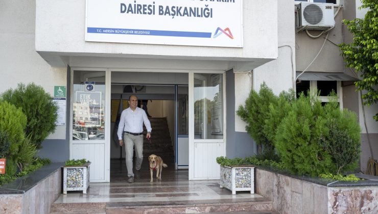 BAŞKAN SEÇER SÖZ VERDİ, BÜYÜKŞEHİR BİRİMLERİ CAN DOSTLARI SAHİPLENDİ