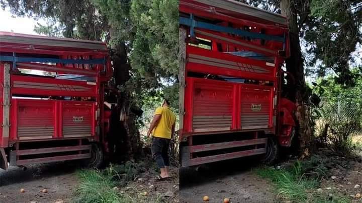 MERSİN’DE AĞACA ÇARPAN KAMYONETTEKİ 1 KİŞİ ÖLDÜ, KİŞİ YARALANDI: