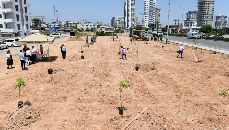 Yenişehir Belediyesi ağaçlandırma çalışmalarını sürdürüyor