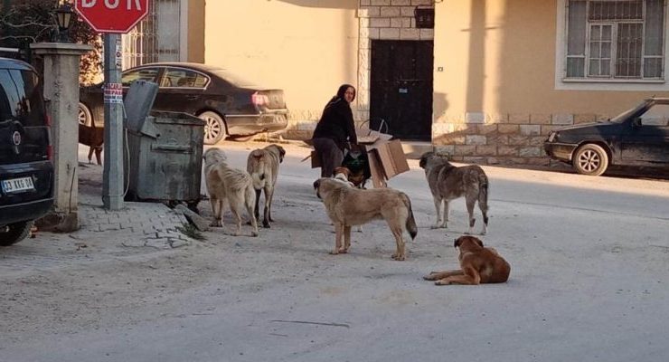 BAŞKAN ORHAN MUT’A HAYVAN BARINAĞI YAPACAKLARINI DUYURDU