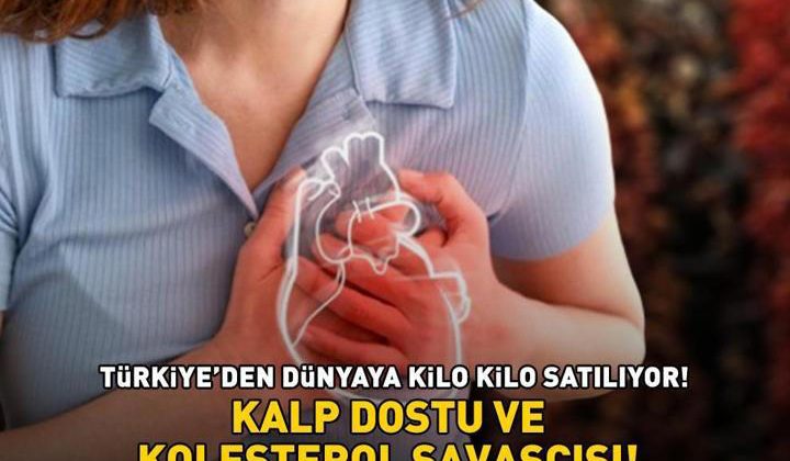 KALP DOSTU VE KOLESTEROL SAVAŞÇISI! Türkiye’den dünyaya kilo kilo satılıyor! Bağışıklık sistemini güçlendiriyor, kabızlığı önlüyor