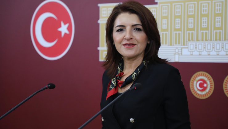 CHP Mersin Milletvekili Gülcan Kış’tan Sert Uyarı: “AKP’nin Sit Alanlarını İmara Açmasına Burada İzin Vermeyeceğiz!  Doğal Yaşamı Korumakta Kararlıyız”