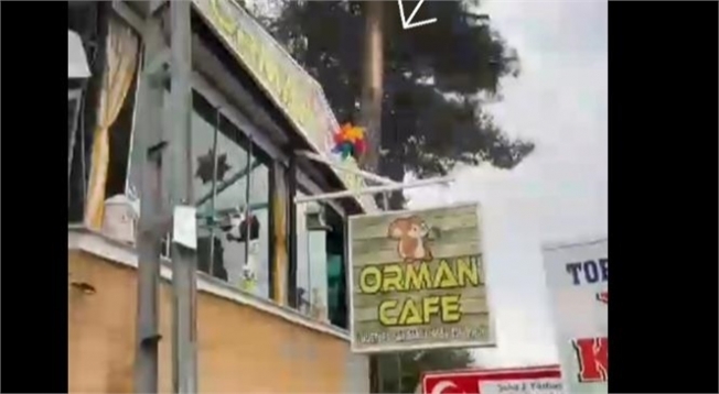 Çamlıyayla’da Orman Cafe’ye Yıldırım Düştü M