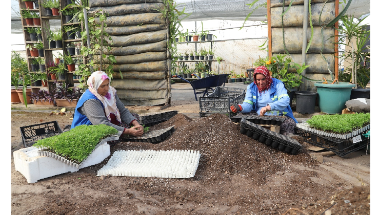 AKDENİZ, BAHARIN RENKLERİYLE BULUŞMAYA HAZIRLANIYOR